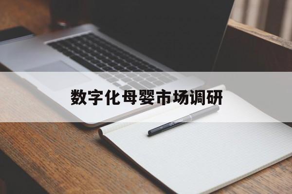 铁岭市数字化母婴市场调研(数字化母婴市场调研报告)
