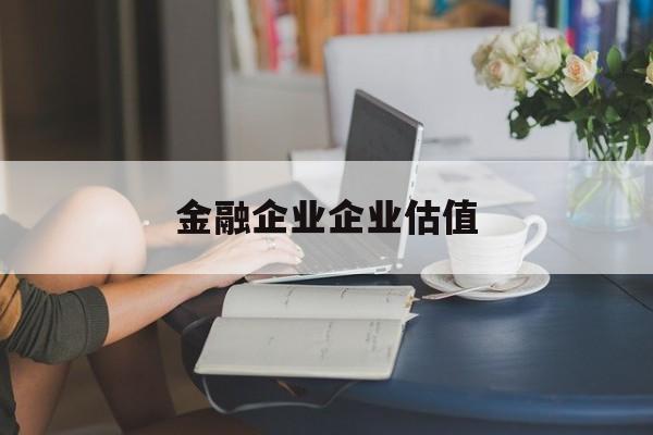 铁岭市金融企业企业估值(最新企业估值怎么填)